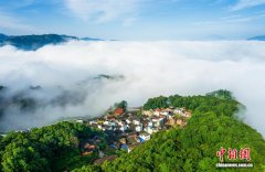 >（走进中国乡村）福建柘荣林